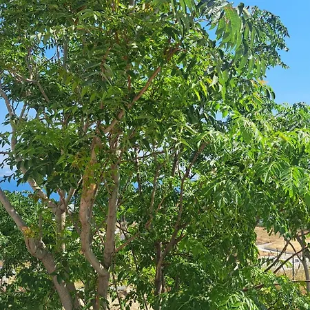 Appartamento Hercules Hills Sea View *