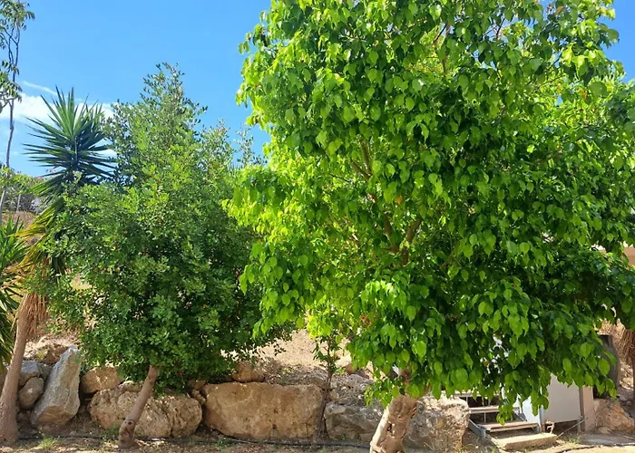 Hercules Hills Sea View Daire