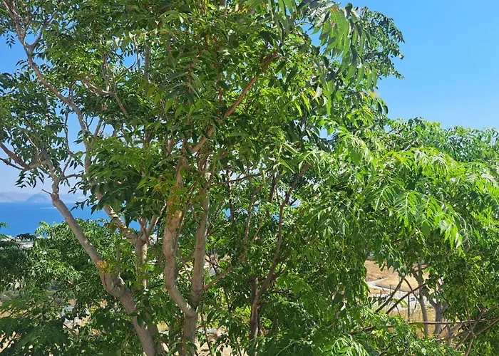 Daire Hercules Hills Sea View *