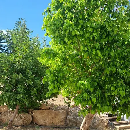 Hercules Hills Sea View Appartement